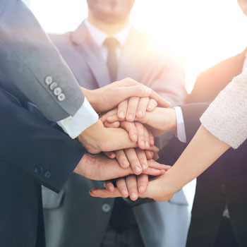 Organigrama, roles y permisos