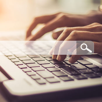 Portal web - consultas