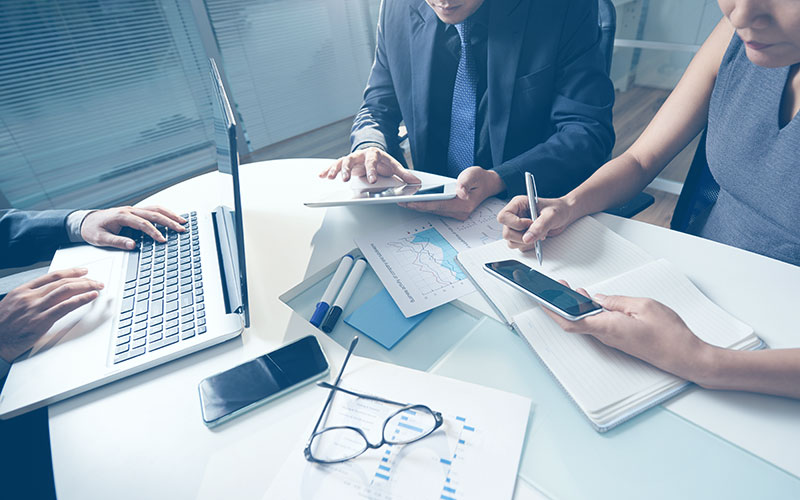Organigrama Roles y Permisos